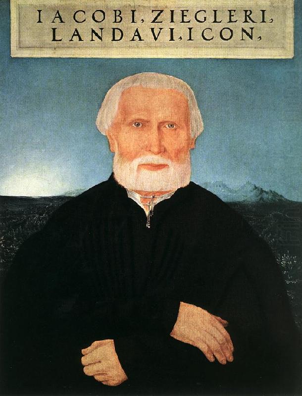 Portrait of Jacob Ziegler sf, HUBER, Wolf